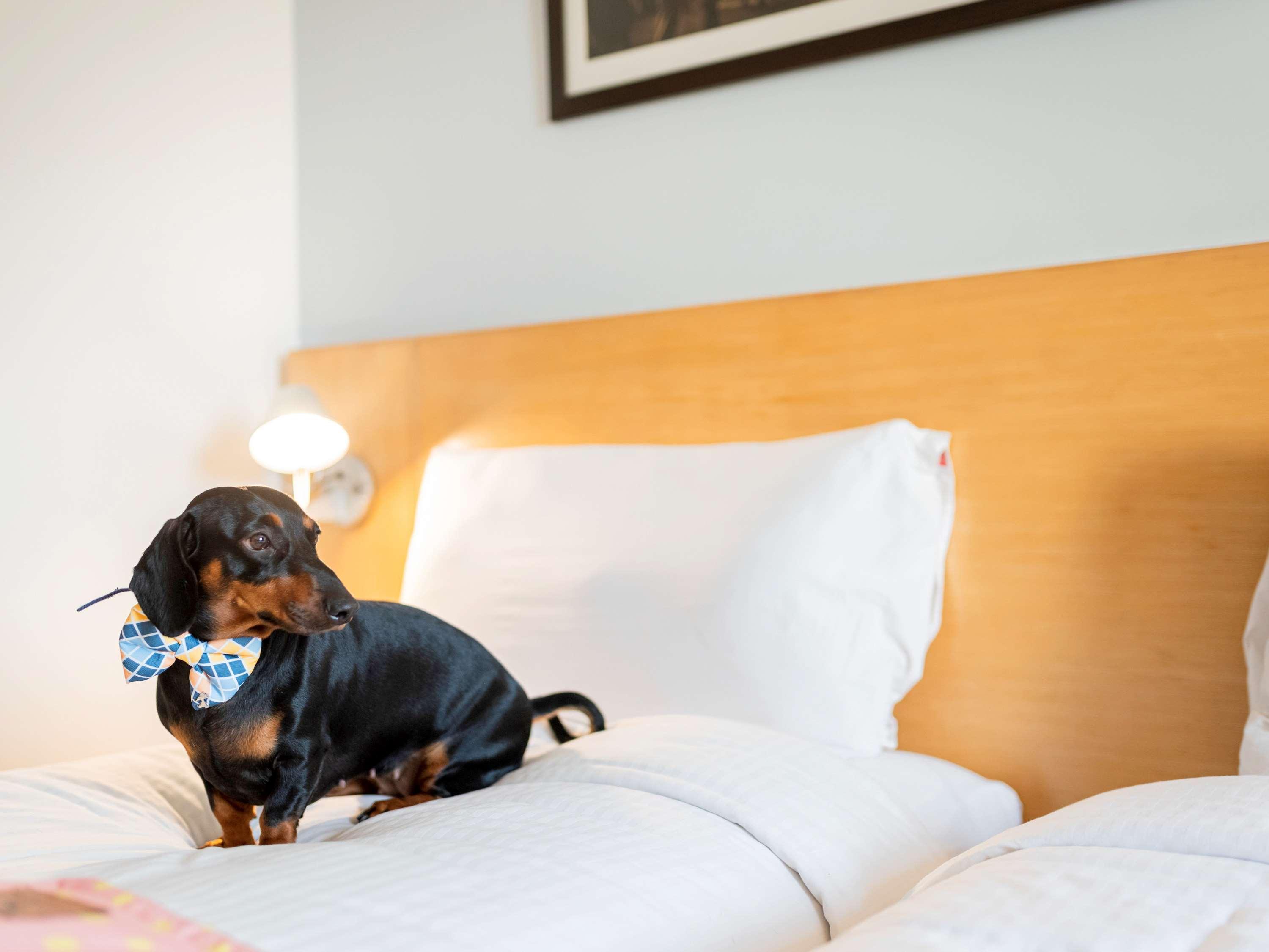 Ibis Bengaluru City Centre - An Accor Brand Zewnętrze zdjęcie