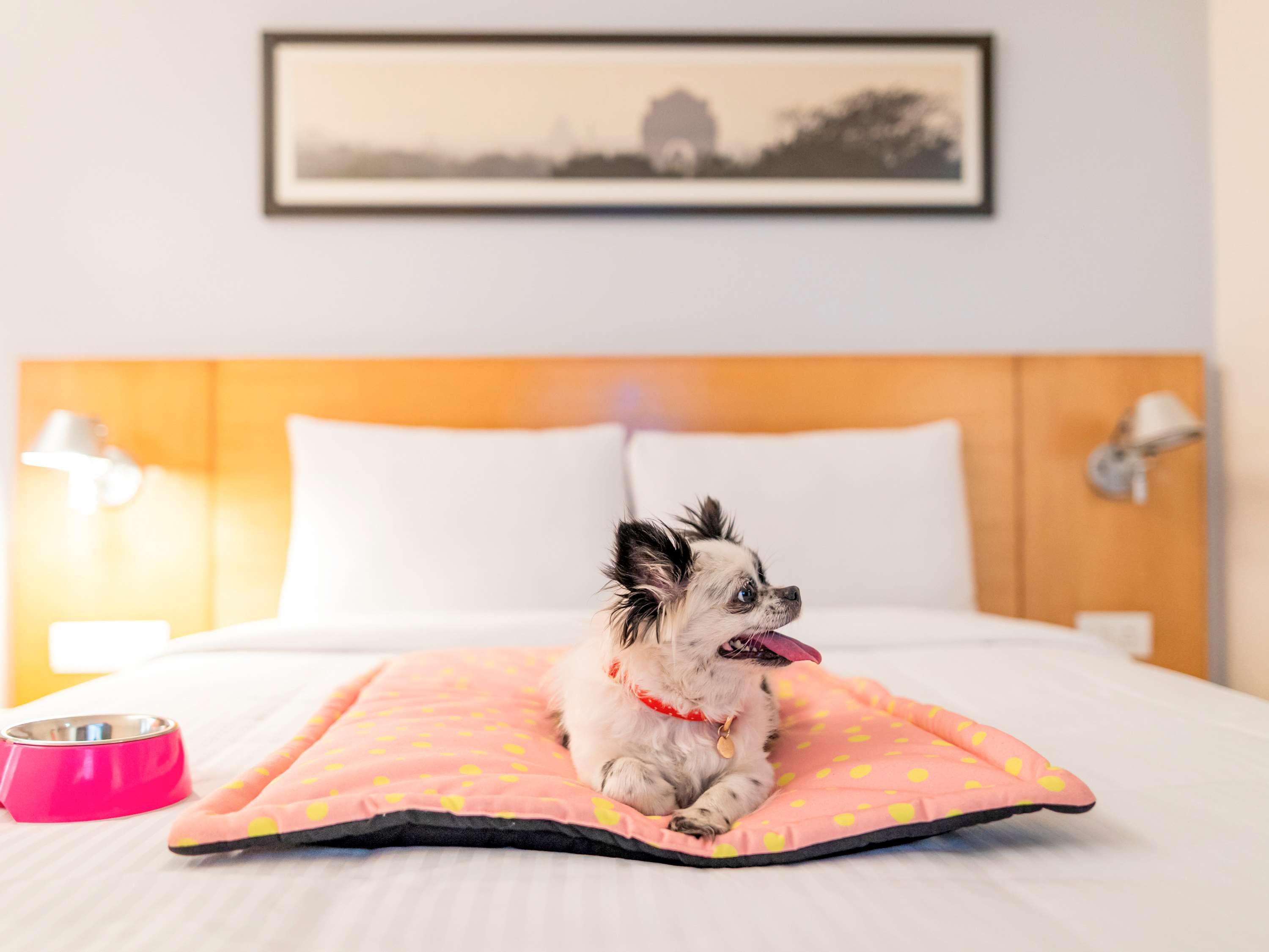 Ibis Bengaluru City Centre - An Accor Brand Zewnętrze zdjęcie