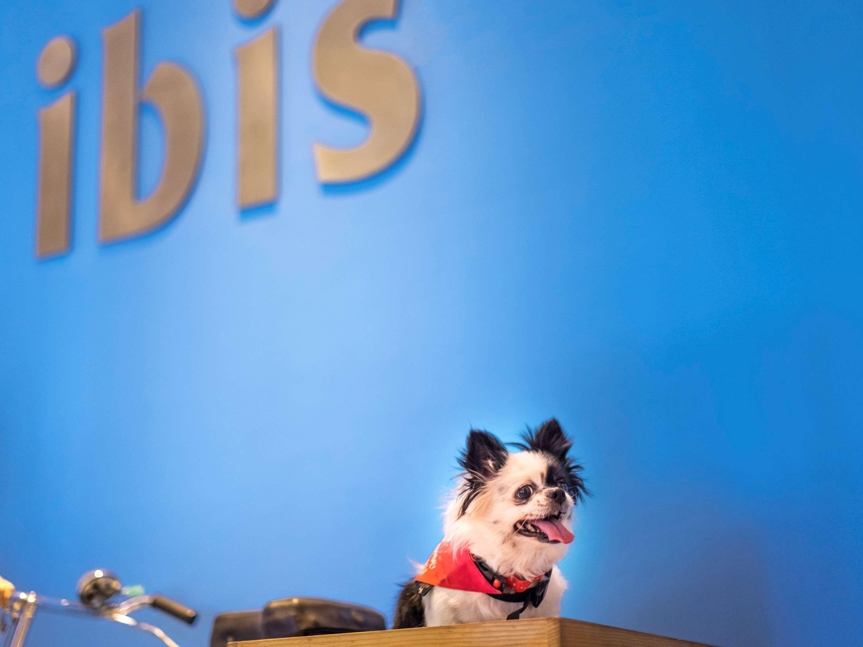 Ibis Bengaluru City Centre - An Accor Brand Zewnętrze zdjęcie